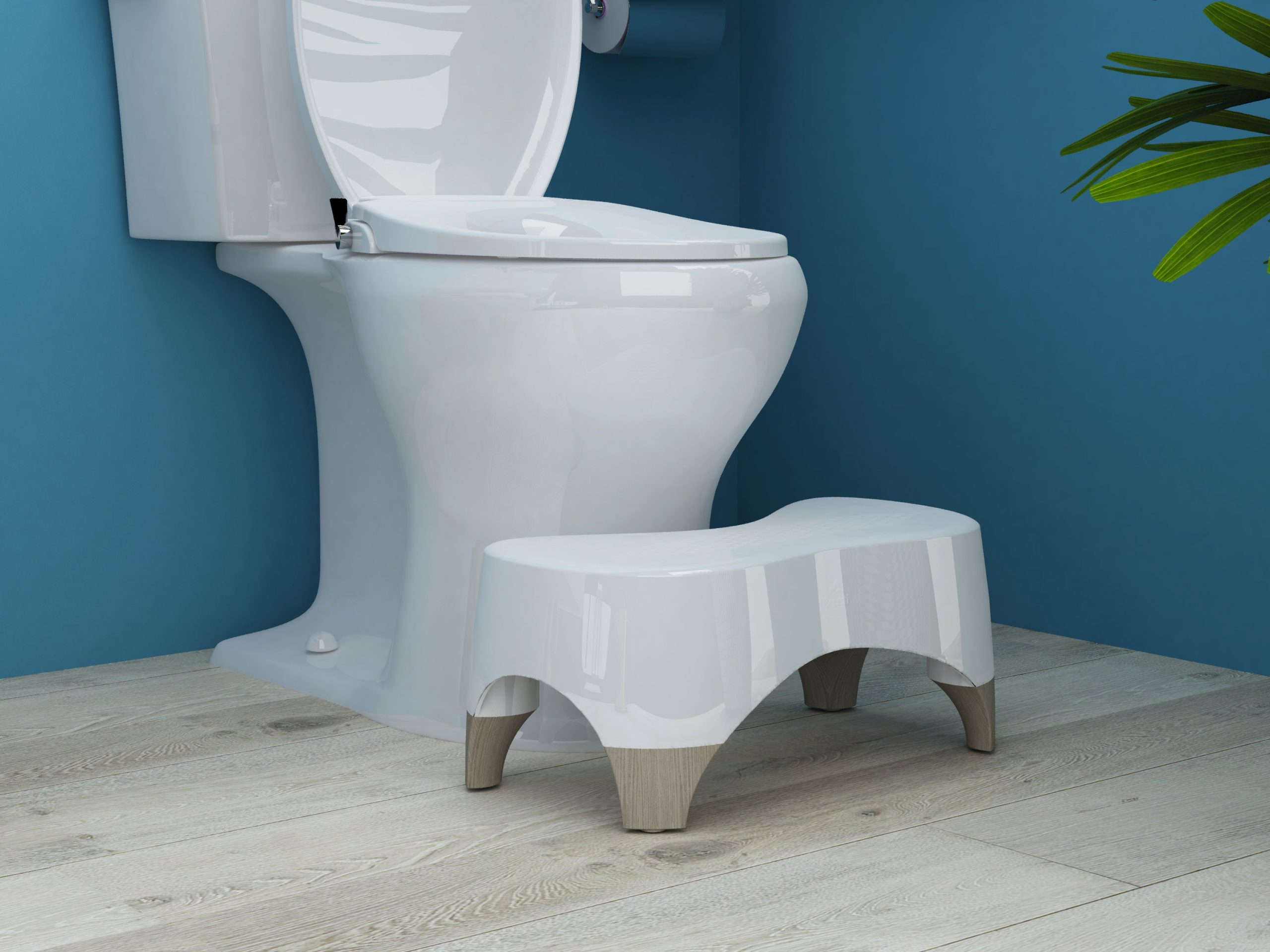 Improve Your Colon Health with the Best Toilet Stool for a Natural Squatting Posture