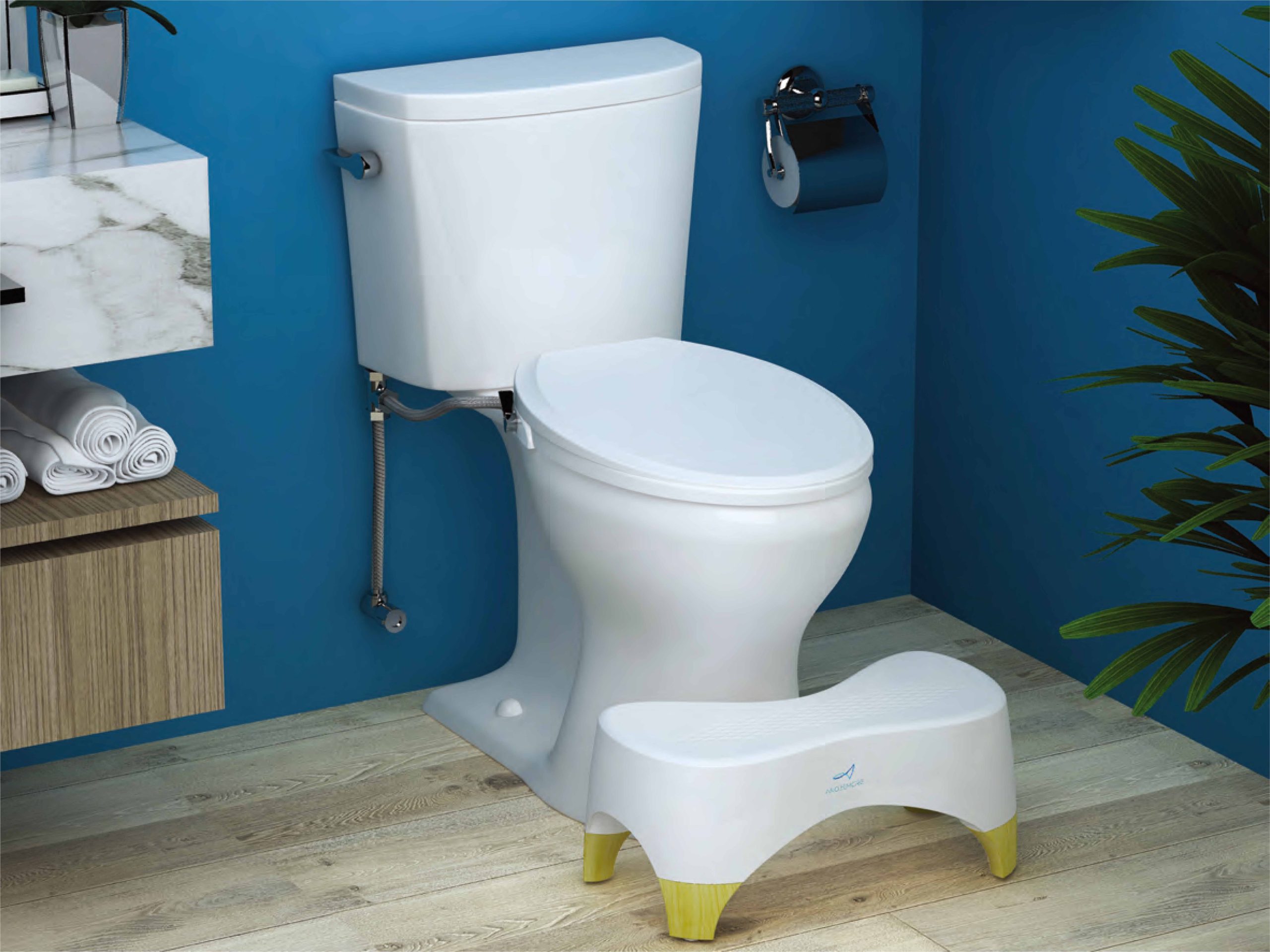 Achieve the Perfect Squatting Position with a Toilet Stool for Better Health