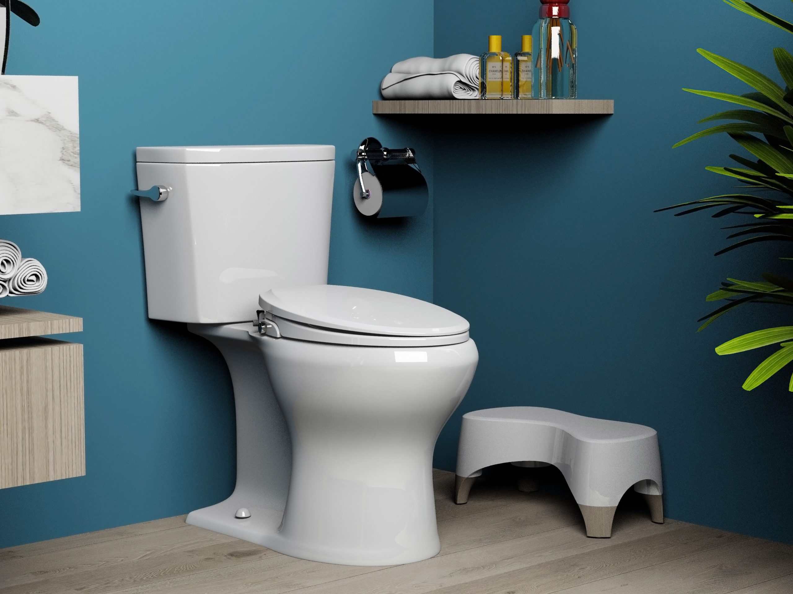 Embrace a Healthier Lifestyle with the Simple Addition of a Toilet Stool