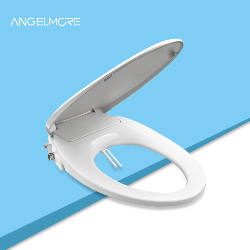 A1101 Bidet Toilet Seat