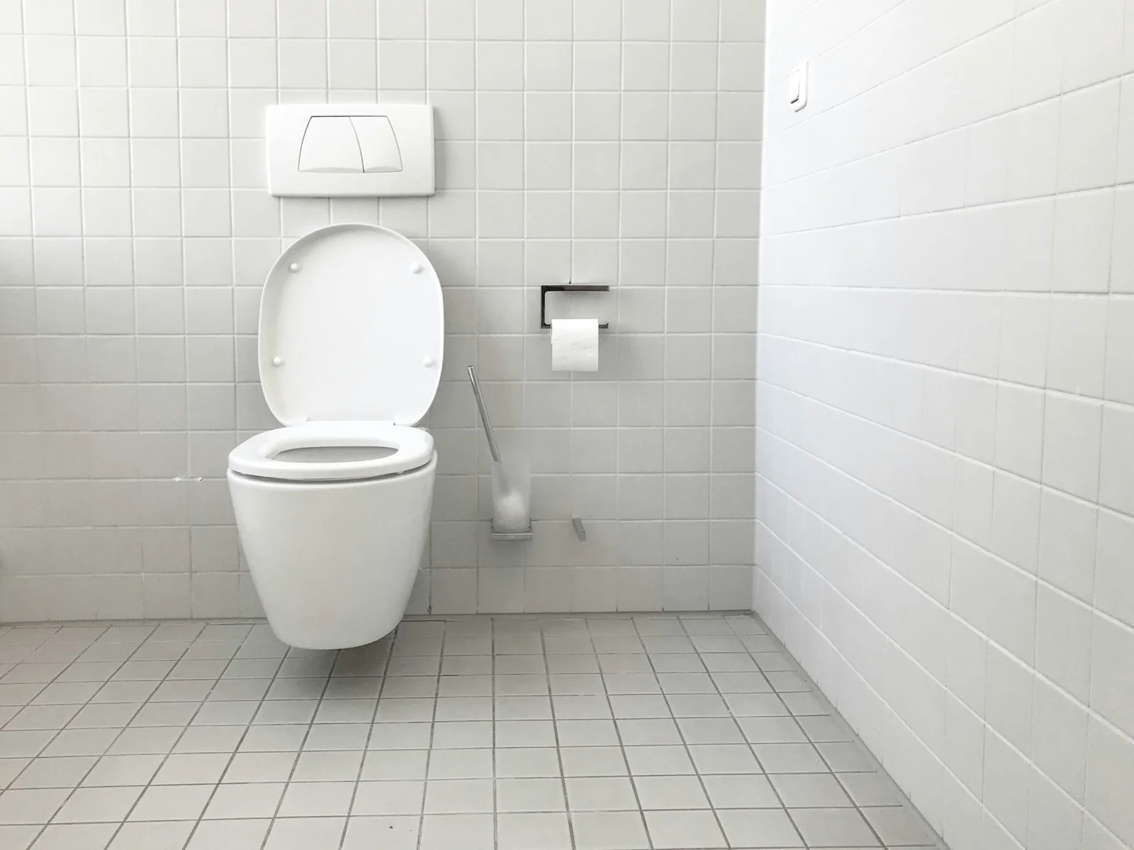 Modern Solutions to Traditional Toileting Problems